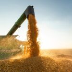 Organic farm to table: Bringing fresh produce home